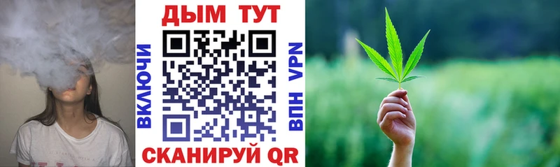 Виды наркотиков купить Шлиссельбург Галлюциногенные грибы Кокаин ГАШИШ Канабис СК