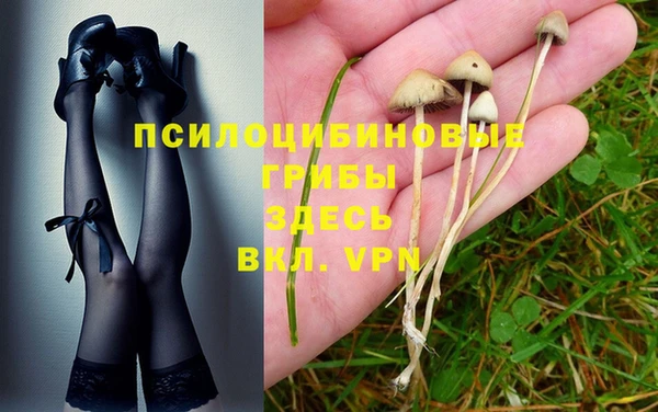 мдпв Алексин
