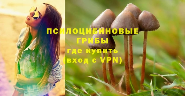 apvp Абинск