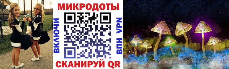 закладки  маркетплейс какой сайт  Псилоцибиновые грибы ЛСД  Шлиссельбург 